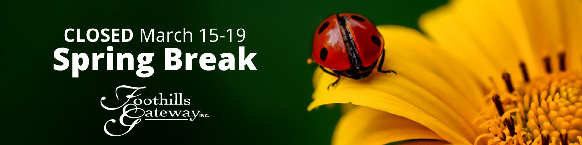Closed March 15 to 19 for Spring Break, over picture of daisy with a ladybug on the petal.