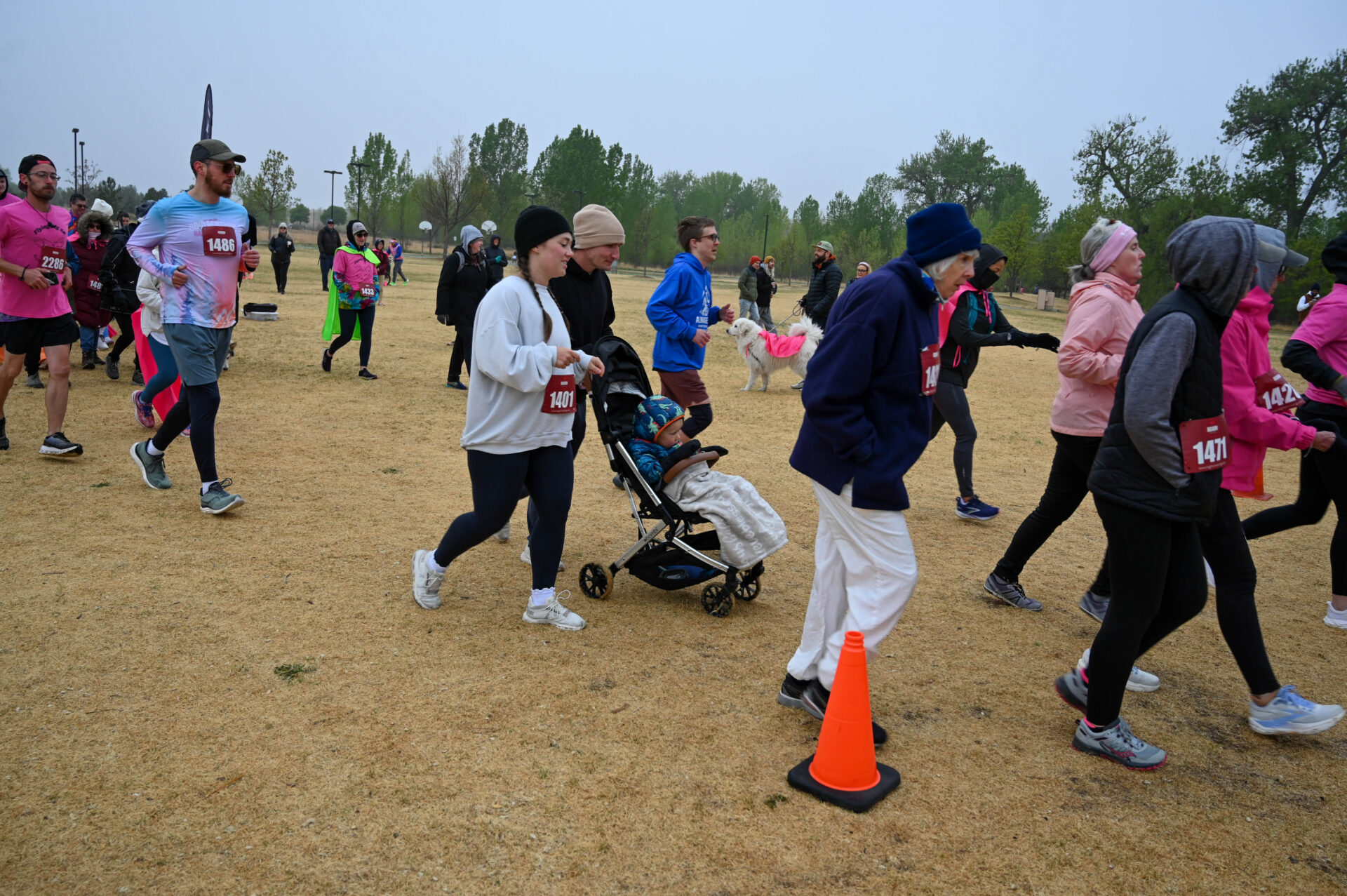 A group of people dressed in warm clothes participate in an outdoor race on a grassy field, with some pushing strollers and wearing numbered bibs. An orange traffic cone is visible in the foreground.